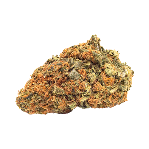 FIGR CBD Shark - Image 2