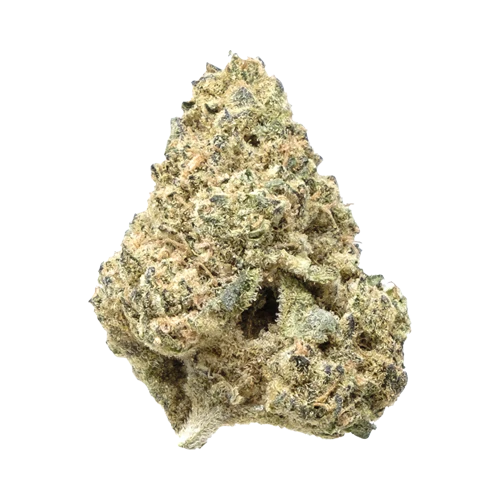 Crooked Dory Sativa - Image 2