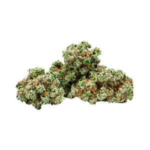 BOLD Root Beer Float