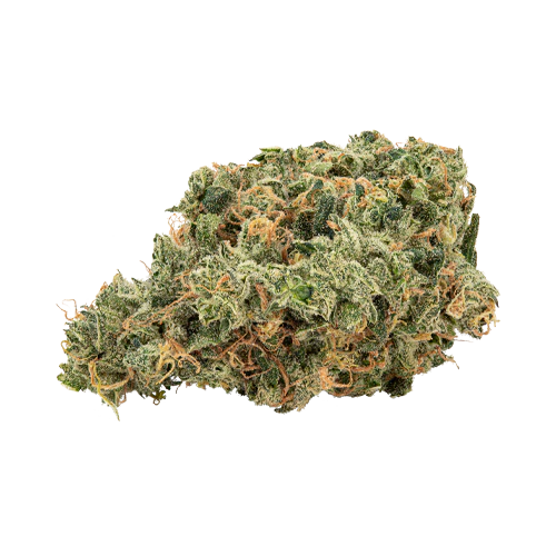 Holy Mountain Ultra Jean-G - Image 2