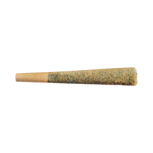 Fuego Night Rider Indica Pre-Roll - Image 2