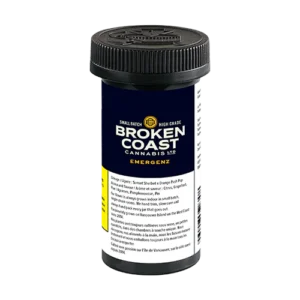 Broken Coast EmergenZ