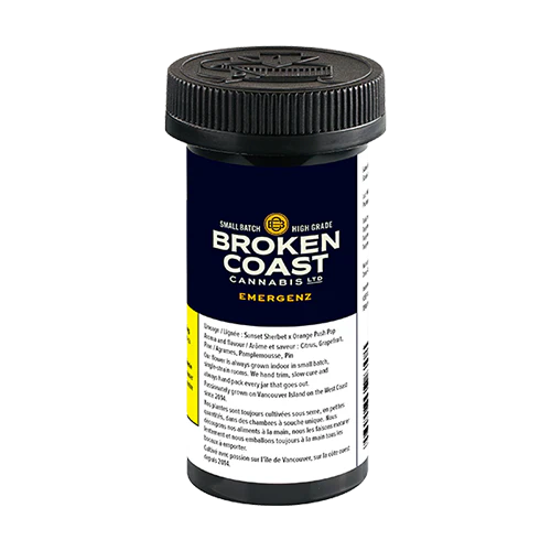 Broken Coast EmergenZ