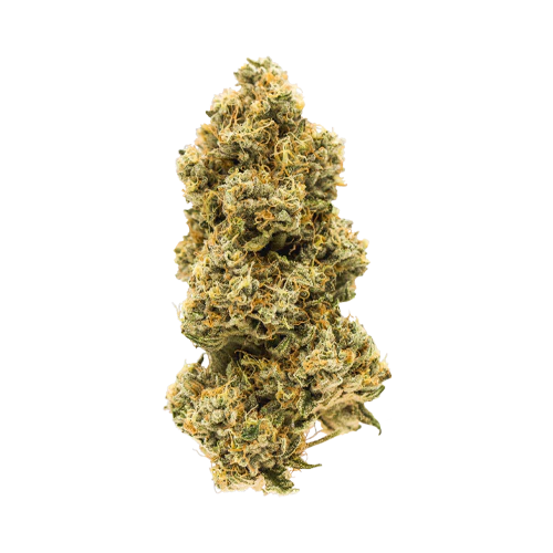 Carmel Animal Face - Image 2