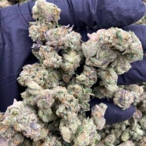 MUEL FUEL — EXOTIC SMALLS